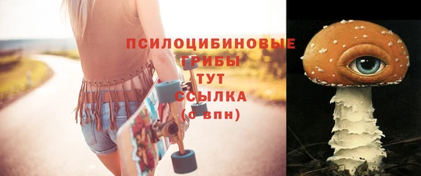 МДМА Горнозаводск