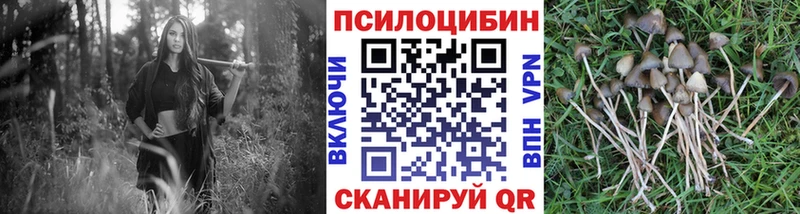 Галлюциногенные грибы прущие грибы  Купить закладки  Сертолово 